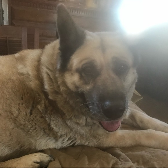 Meet your Posher, Lyudmila - Picture 7 of 9